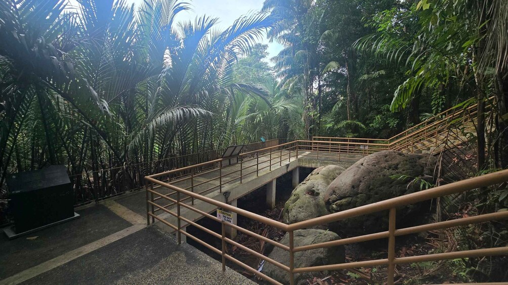 A staircase surrounded by dense tropical foliage, with a caution sign warning against climbing. 2