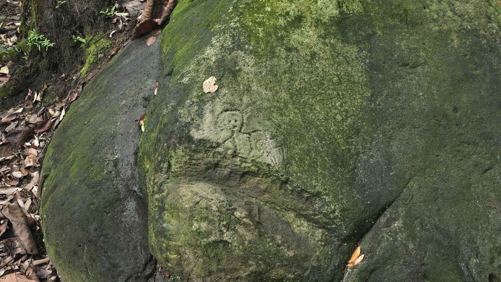 A moss-covered rock with a leaf imprint. 5