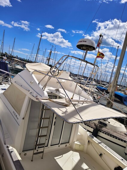 A marina with multiple sailboats docked, a white boat with a covered deck, and a flag. 1