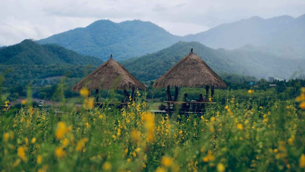 Two thatched-roof huts in a field with yellow flowers and mountains in the background. 5