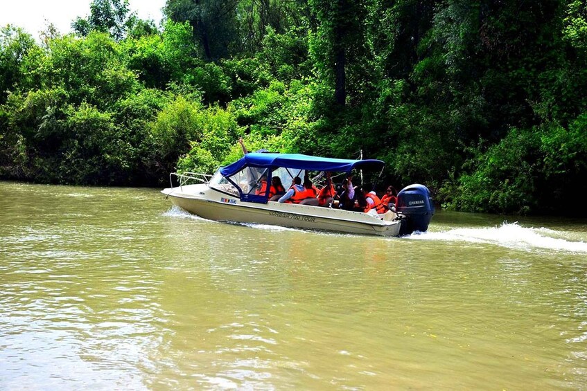 A boat with passengers wearing life jackets, moving through murky water with dense green foliage in the background. 5