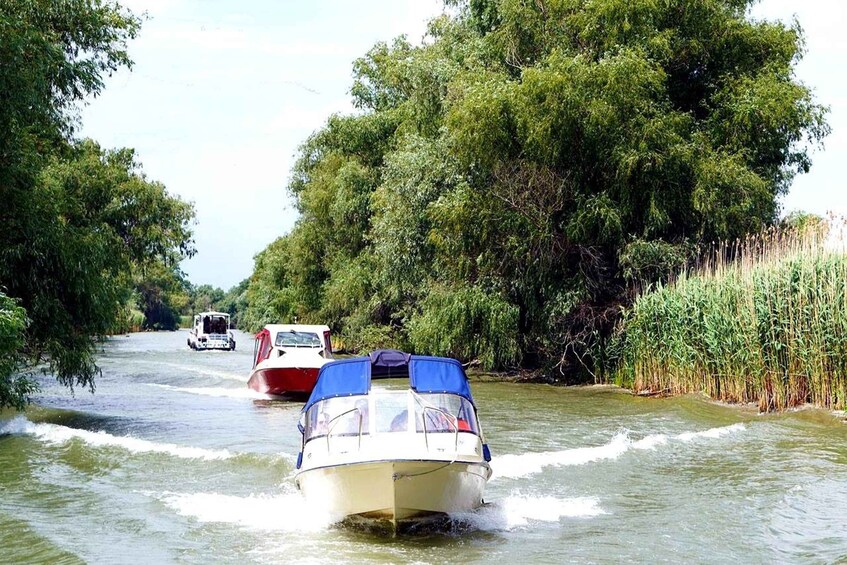 A narrow waterway with boats, surrounded by dense greenery. 3