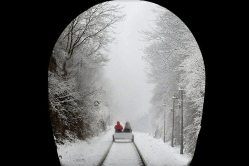 A snow-covered pathway flanked by trees and street lamps. 5