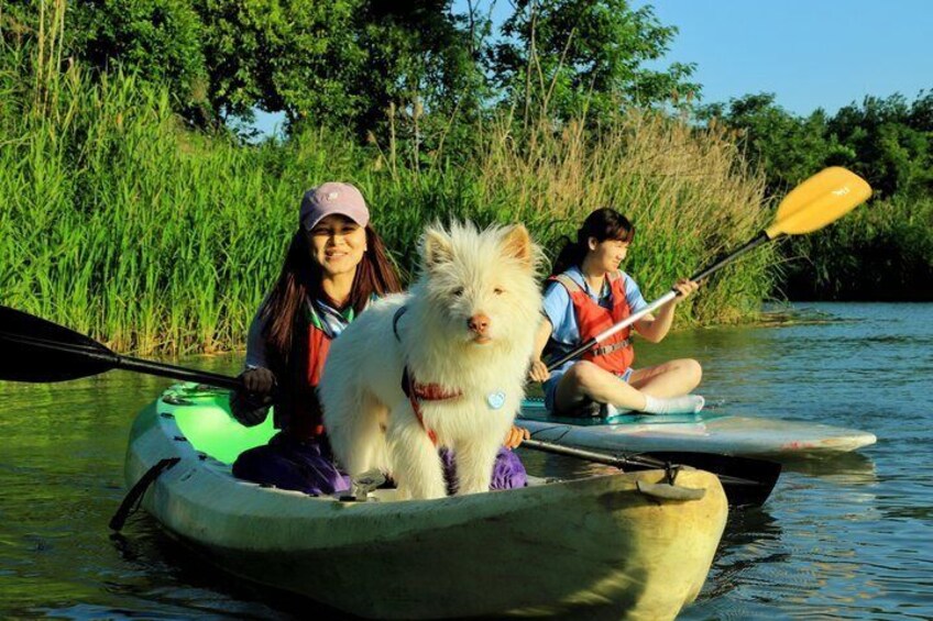 A dog in a kayak on a river with two people paddling. 5