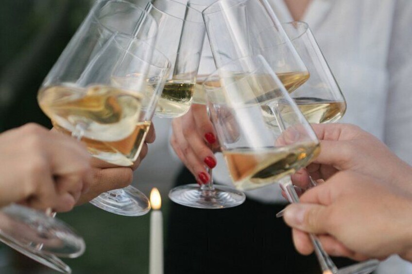 People toasting with wine glasses. 3