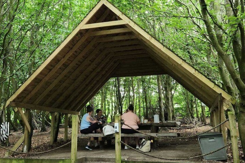 Nourish Full Day Woodland Spa Wellness Retreat Northern Ireland 2