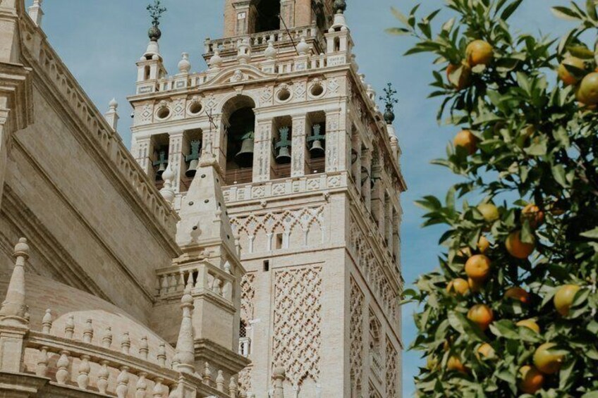 A historic tower with intricate architectural details and a tree with ripe fruit. 4