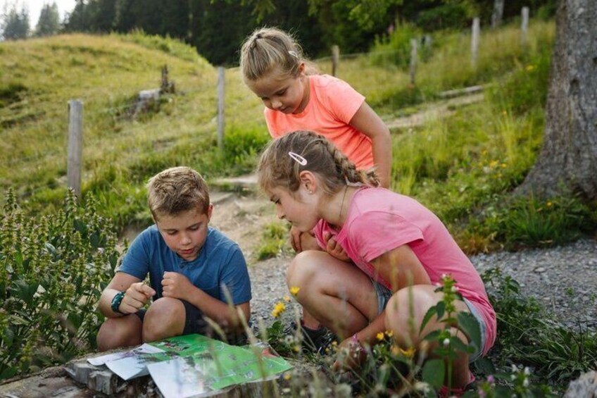 Children playing with a map outdoors. 1