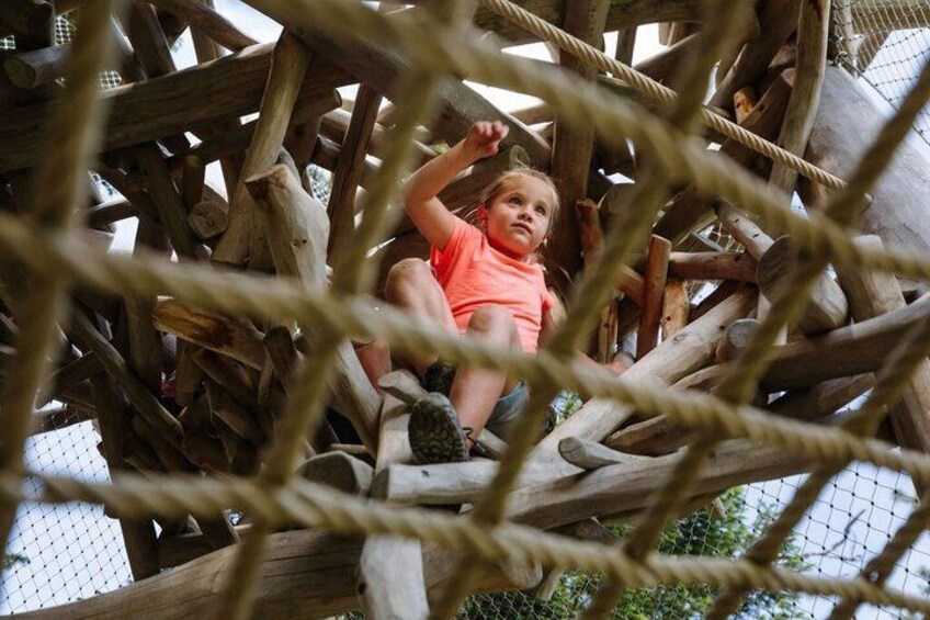 A child climbing a wooden structure with ropes. 2