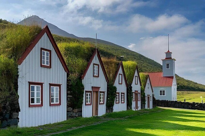 Akureyri Port: Small Group Godafoss and Laufas Turf House Tour 2
