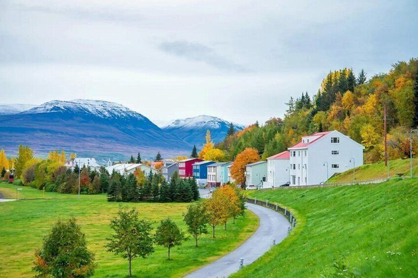 A rural landscape with a winding road, houses, and a mountain range in the background. 4