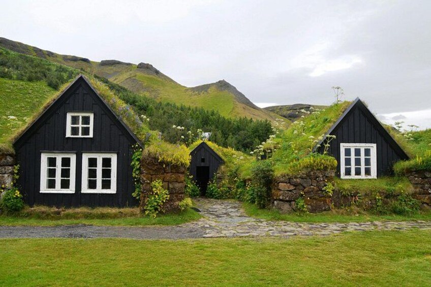 Akureyri Port: Small Group Godafoss and Laufas Turf House Tour 3