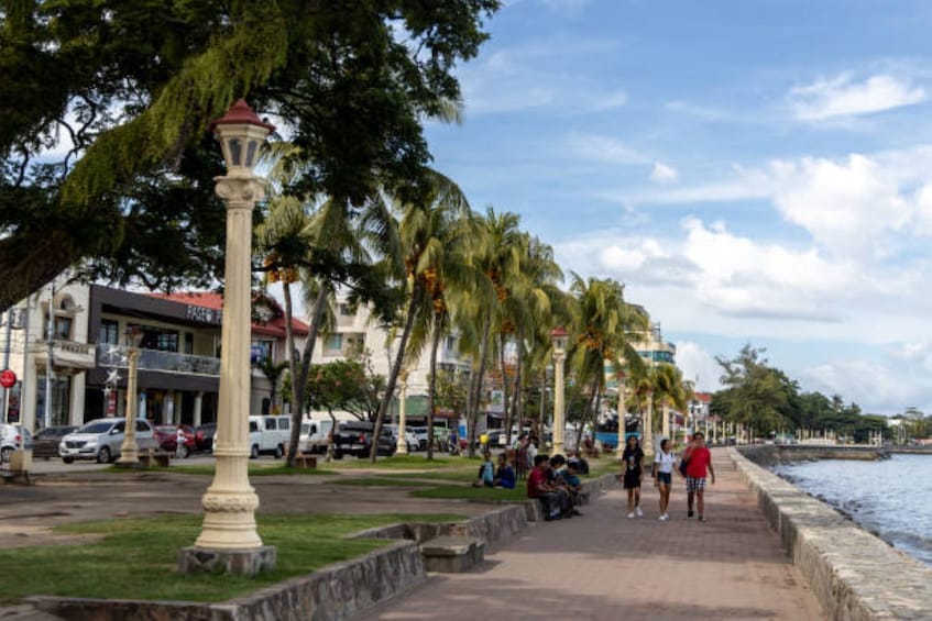 A coastal promenade with palm trees, a stone wall, and a row of shops. 3