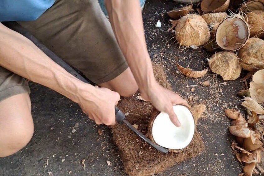 A person using a tool to open a coconut on the ground. 5