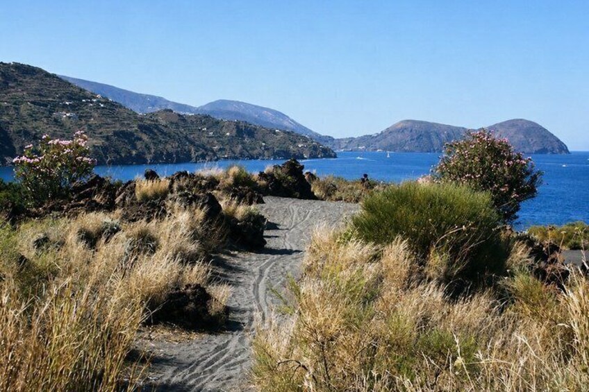 A coastal path with dry grass, shrubs, and a clear blue sea. 5