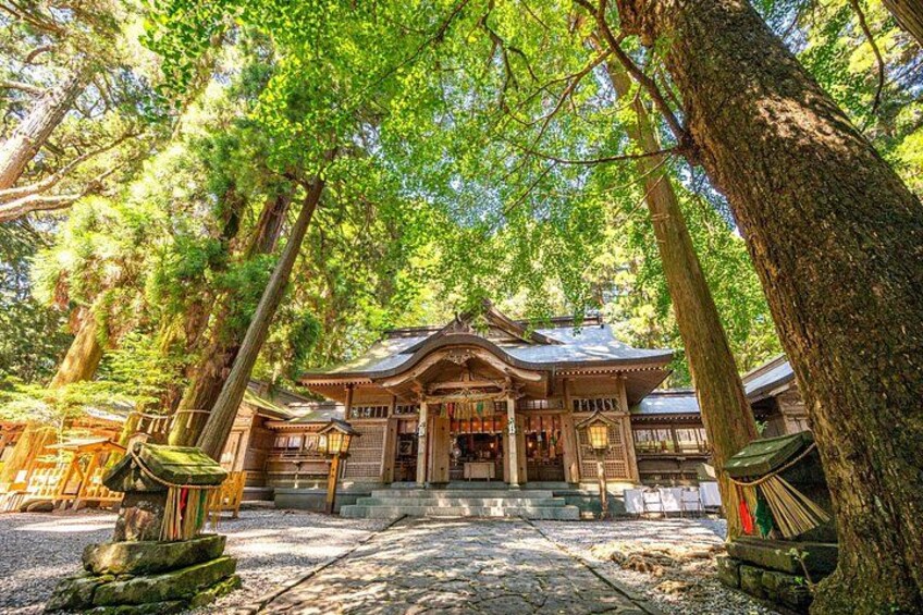 A traditional Japanese building surrounded by large trees. 2
