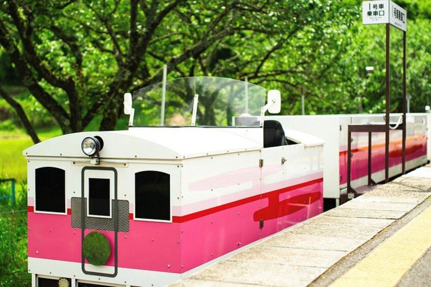A pink and white train with a transparent roof, parked on a track with a grassy area and trees in the background. 3
