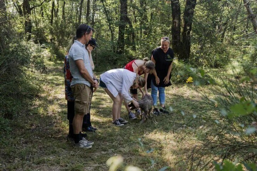 A group of people in a forested area, some bending down, possibly interacting with a small animal. 1