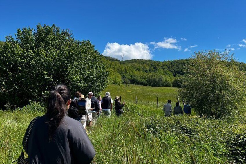 A group of people hiking in a grassy field with trees and a hill in the background. 3