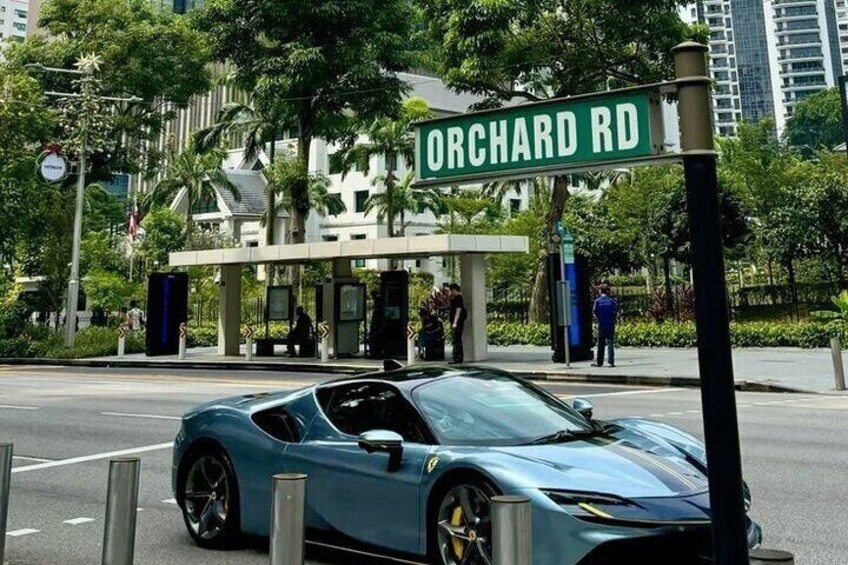 A blue sports car parked at an Orchard Rd intersection with a modern building and palm trees in the background. 5