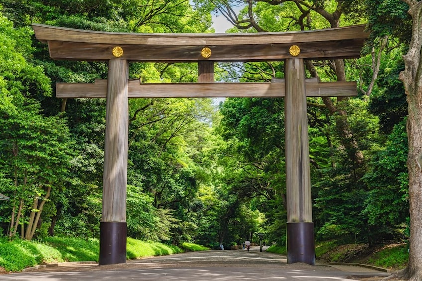 Perinteinen japanilainen torii-portti vehreässä metsämaisemassa. 1
