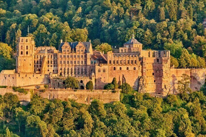 A historic castle surrounded by dense forest. 4