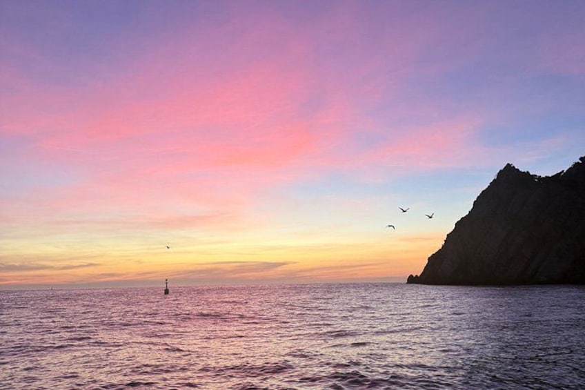 A sunset over a calm sea with a rocky coastline and birds flying. 2