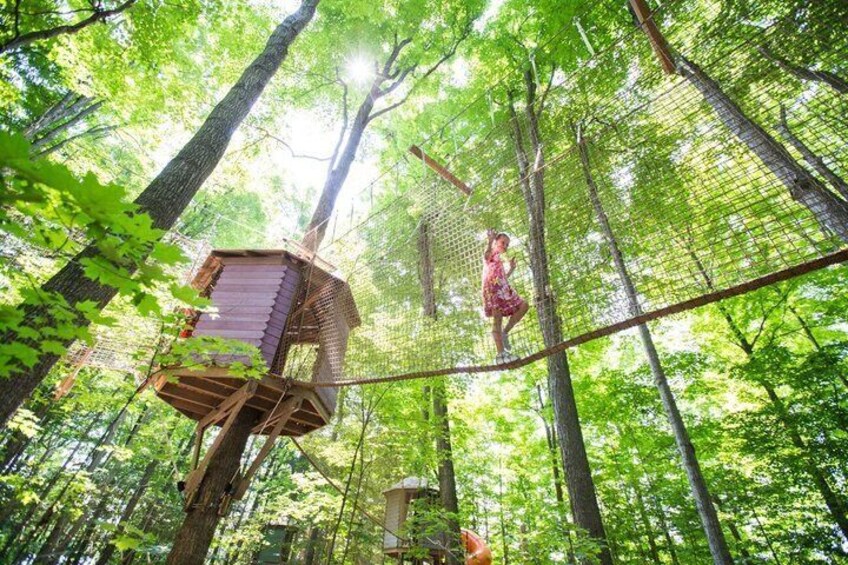 A forest with a rope bridge and a wooden platform. 2