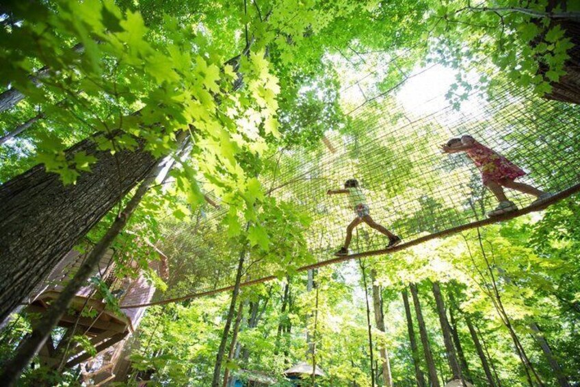 Treewalk Village Stouffville Treehouse Adventure for Kids 4