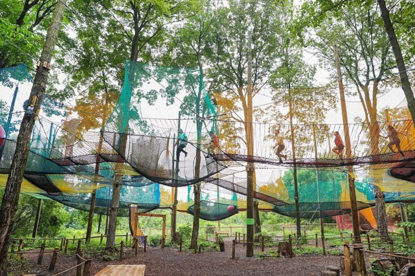 A forested area with a rope bridge and netted climbing structures. 3