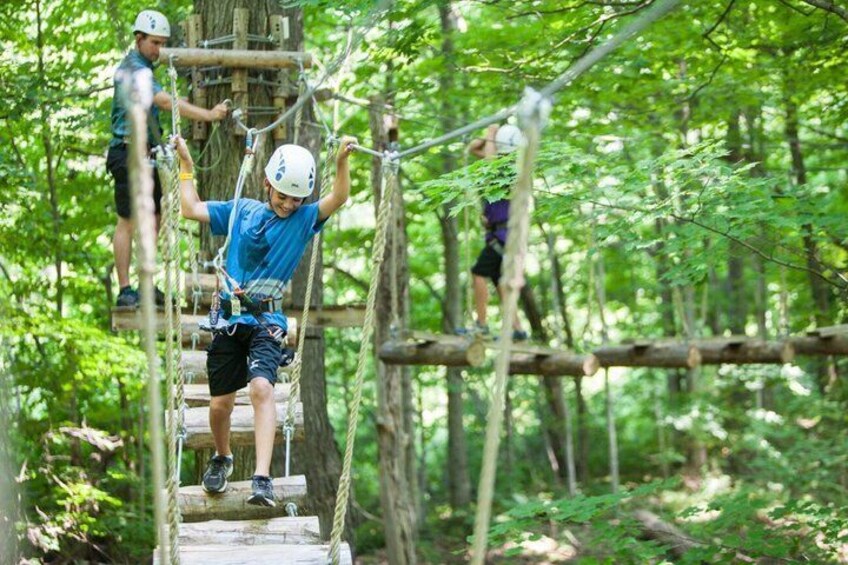 A person navigating a rope bridge in a forest. 3