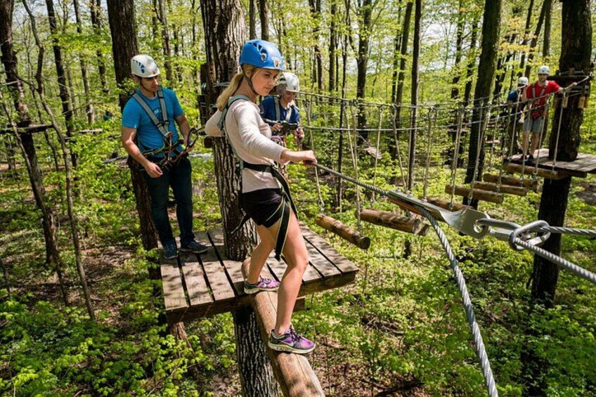 Treetop Trekking Stouffville Zipline and Aerial Game Trek 2
