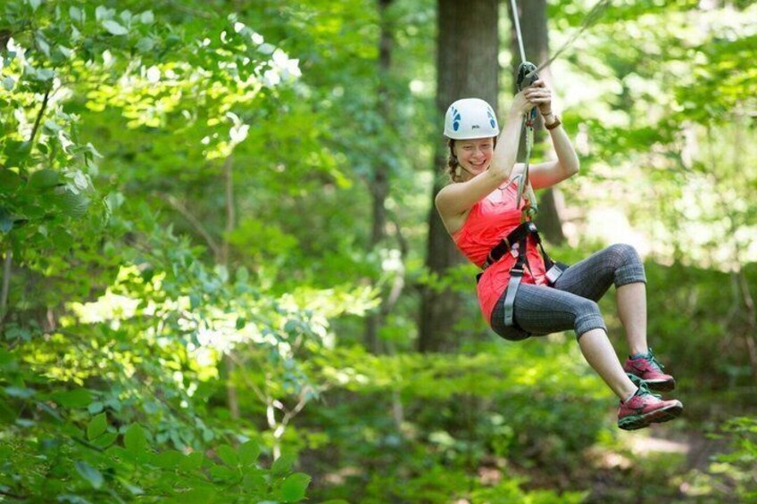 A person zip-lining through a forest. 2