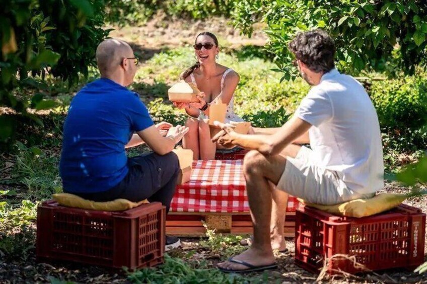 Sicilian aperitif at sunset in the citrus grove 1