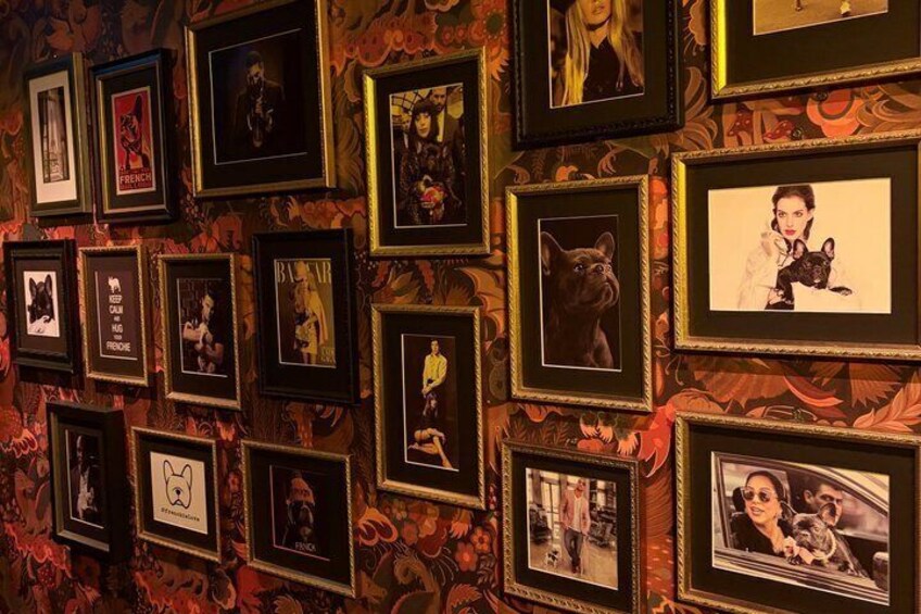 A wall with multiple framed pictures, including portraits and images of dogs. 1