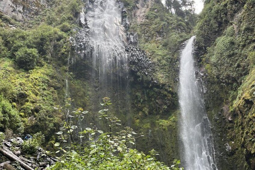 A waterfall cascading down a rocky cliff surrounded by lush greenery. 5