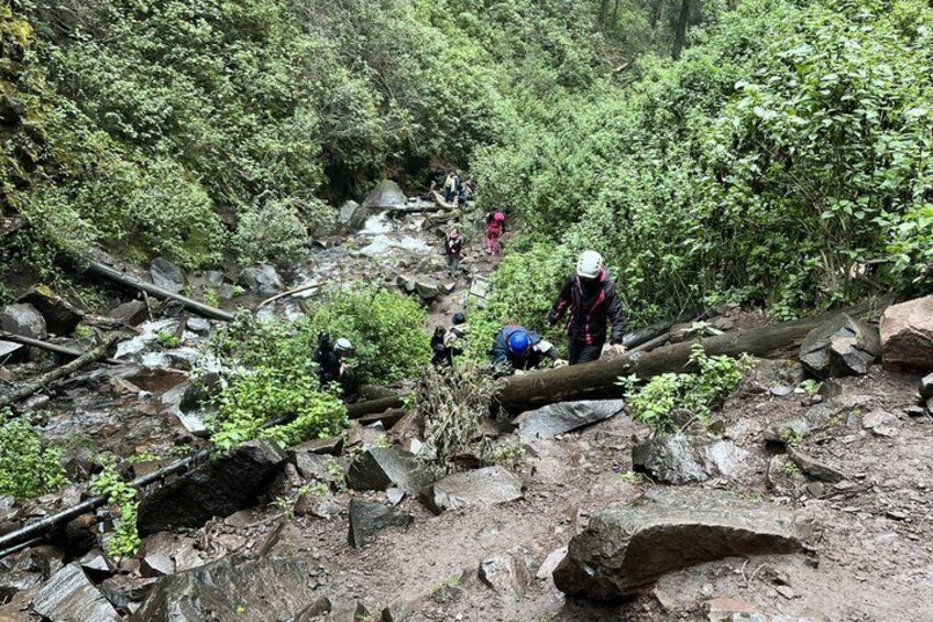 A group of hikers navigating a rocky, forested trail with fallen trees and boulders. 4