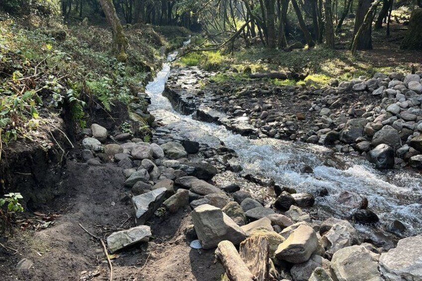 A rocky stream with a narrow waterway surrounded by forest. 3