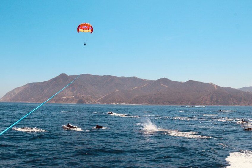 Catalina Island Parasailing First Trip of the Day 3