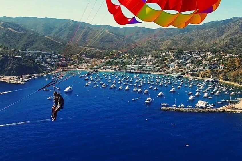 Catalina Island Parasailing Adventure 2