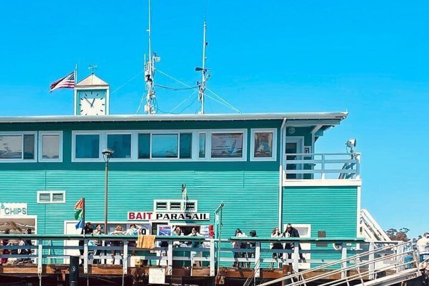 Catalina Island Parasailing Adventure 2