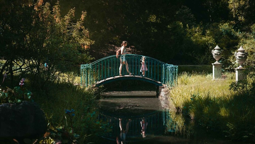 A green bridge over a calm water body, surrounded by lush greenery and stone structures. 3