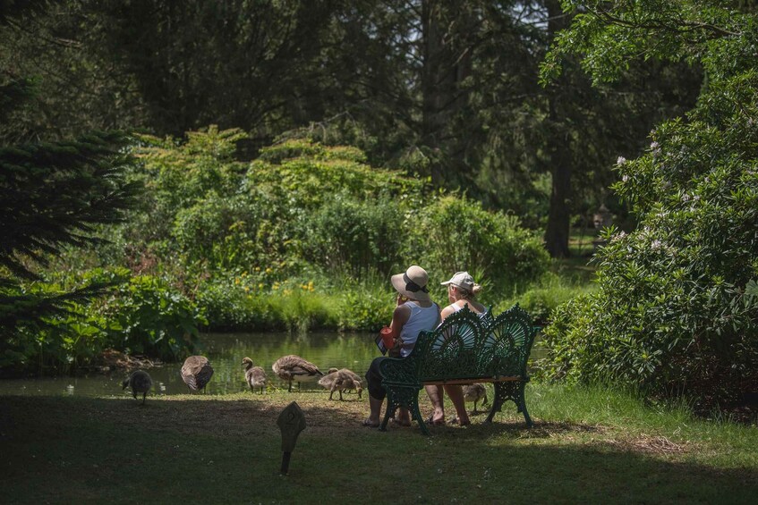 Two people sitting on a bench by a pond with ducks. 2