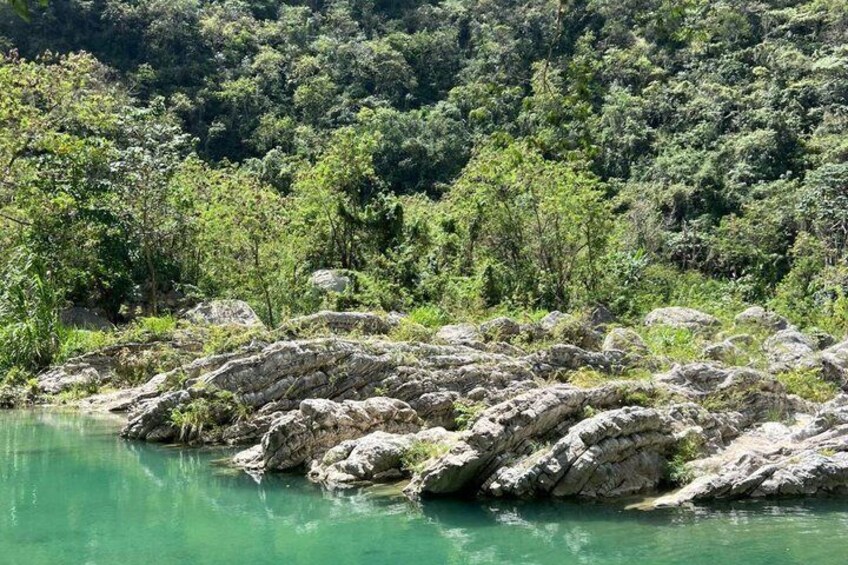 A rocky riverbank with clear water and dense forest in the background. 4