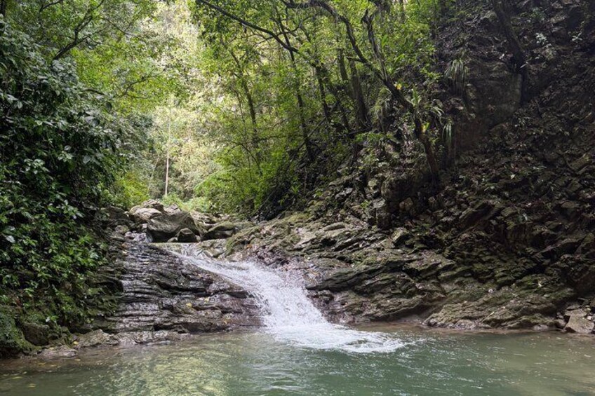 A waterfall in a forested area with rocks and greenery. 2