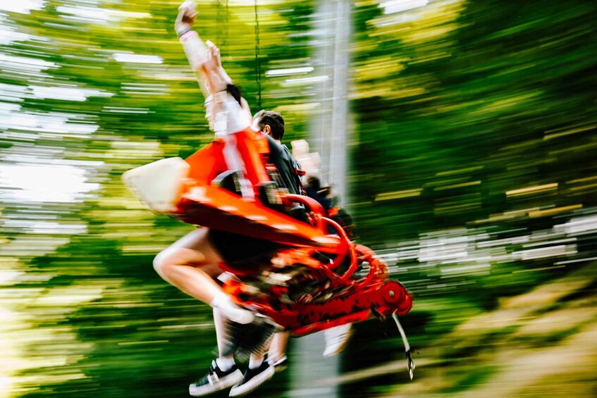 Picture 2 for Activity Betws-y-Coed: Giant 5 person swing (Skyride) 2