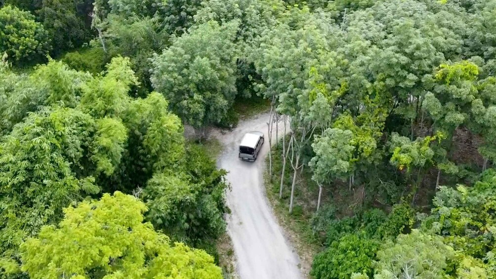 Picture 4 for Activity Phuket: Elephant Sanctuary Canopy Walkway Tour 4