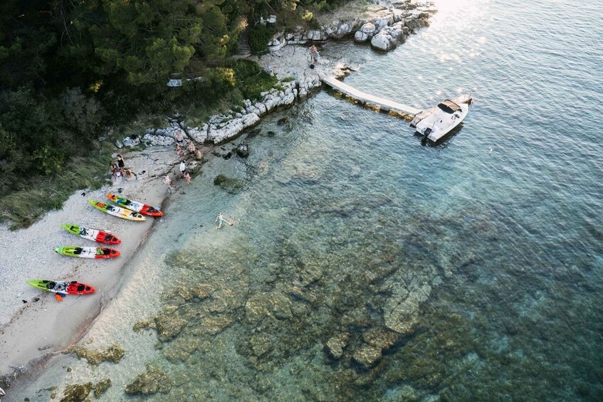 Picture 19 for Activity Rovinj: Paradise Island Kayaking & Wild Tortoises + Drinks 2