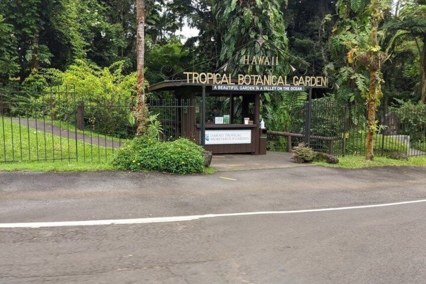 Tropical Botanical Garden entrance with a gate and lush greenery. 3