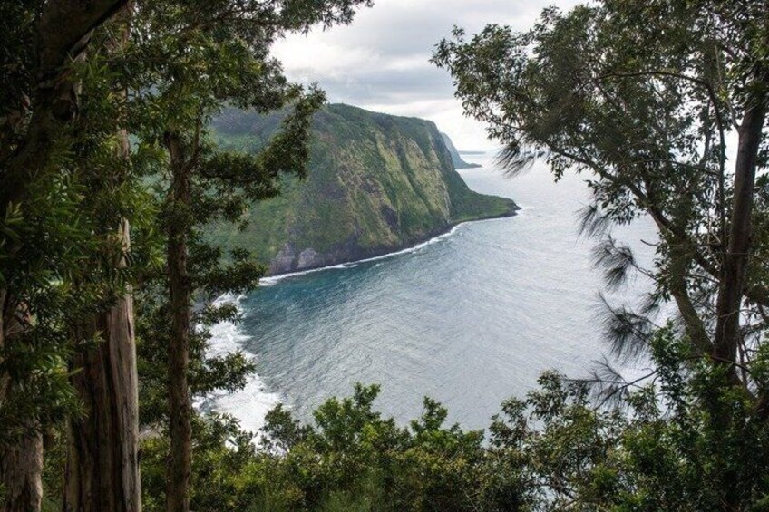 A coastal landscape with a prominent cliff, dense foliage, and a view of the ocean. 4